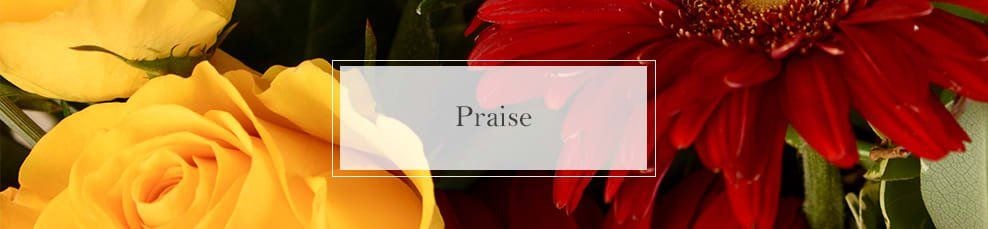 McShan Praise Banner